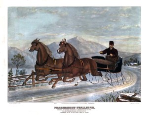 Fearnaught Stallions by leighton 1882